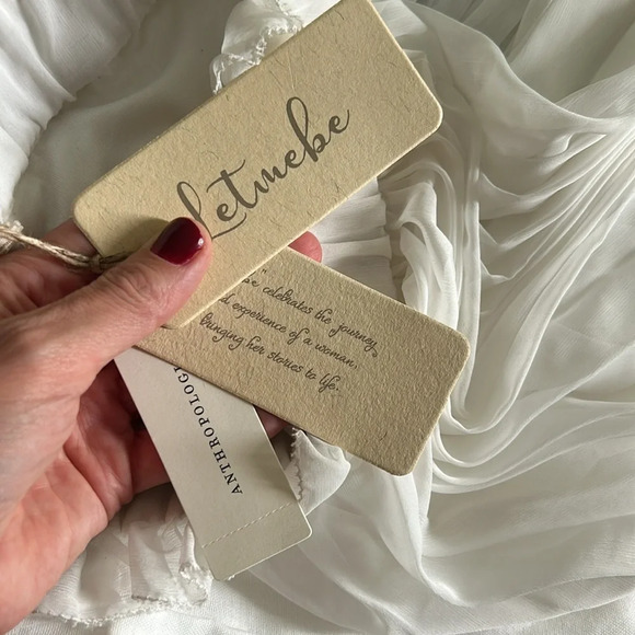 Let Me Be (Anthropologie) Sheer Pleated A-Line Skirt, NWT - Picture 7 of 10